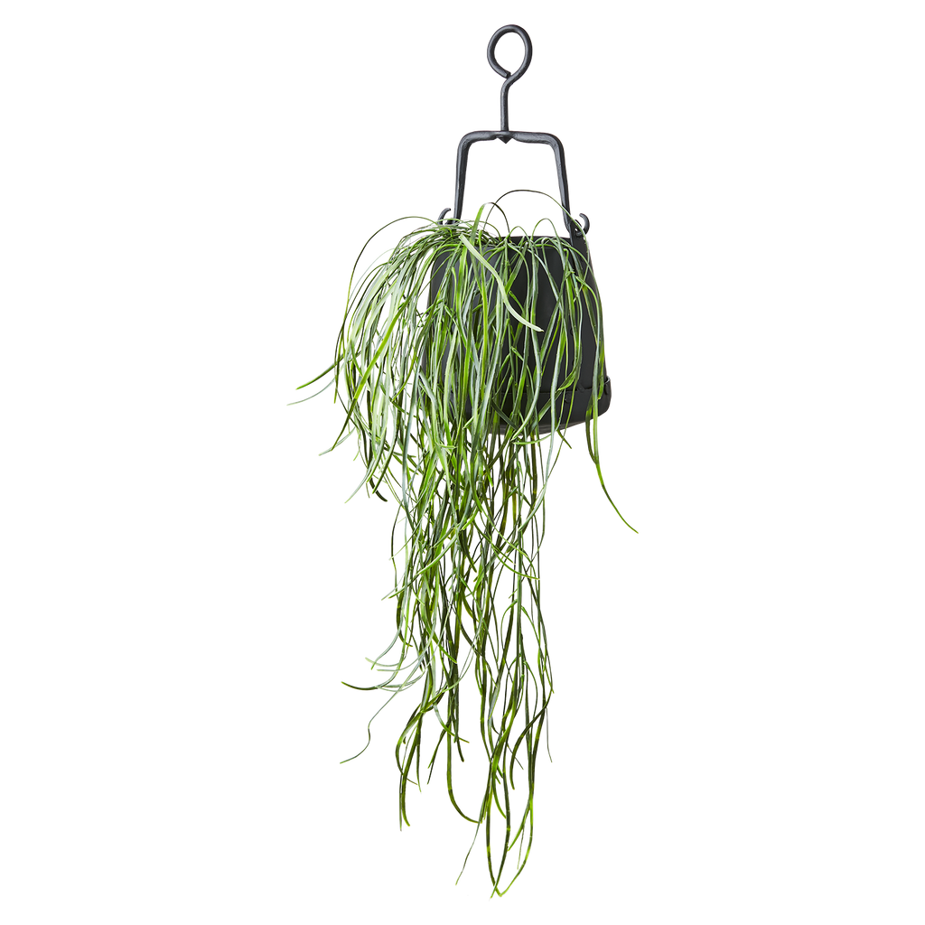 THOR Kruka, Svart 2st