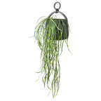 THOR Kruka, Svart 2st