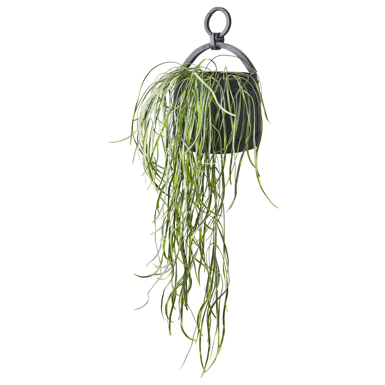 THOR Kruka, Svart 2st