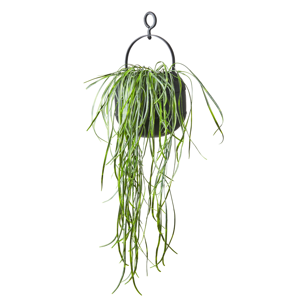 THOR Kruka, Svart 2st