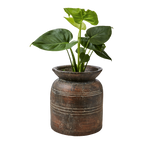 CAMILLE Kruka M, Brun 2st