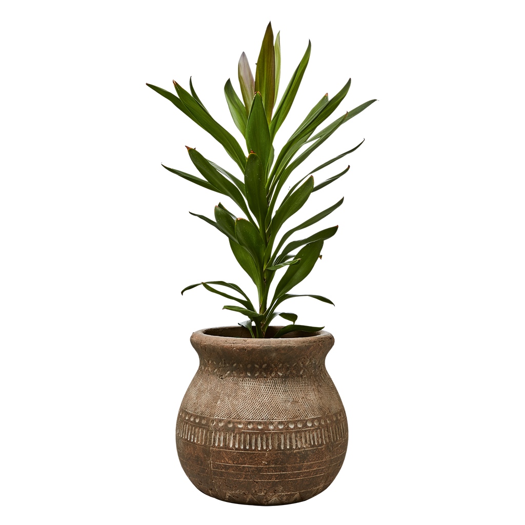 CAMILLE Kruka M, Beige 2st