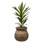 CAMILLE Kruka M, Beige 2st