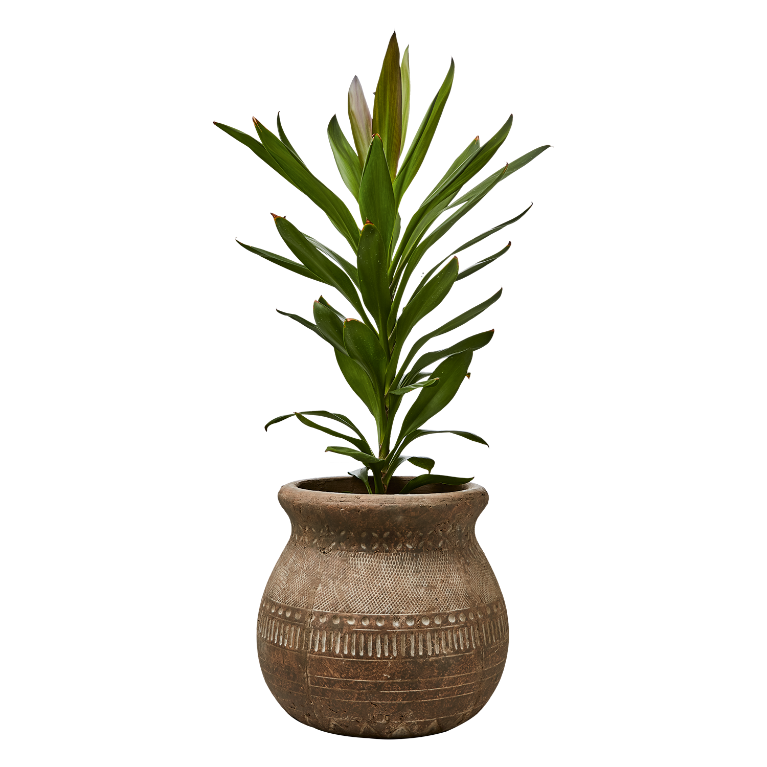 CAMILLE Kruka M, Beige 2st