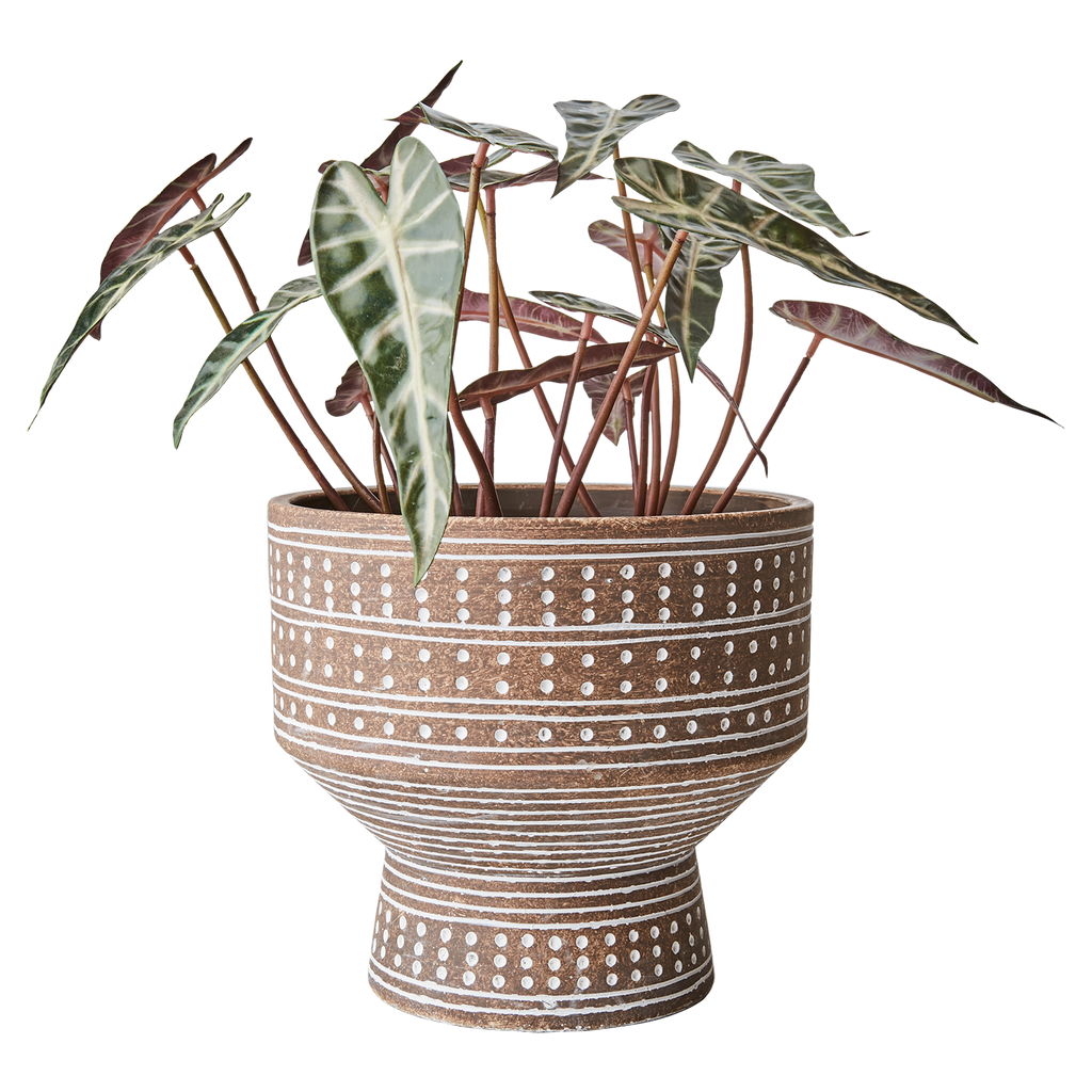 CAMILLE Kruka M, Beige 2st