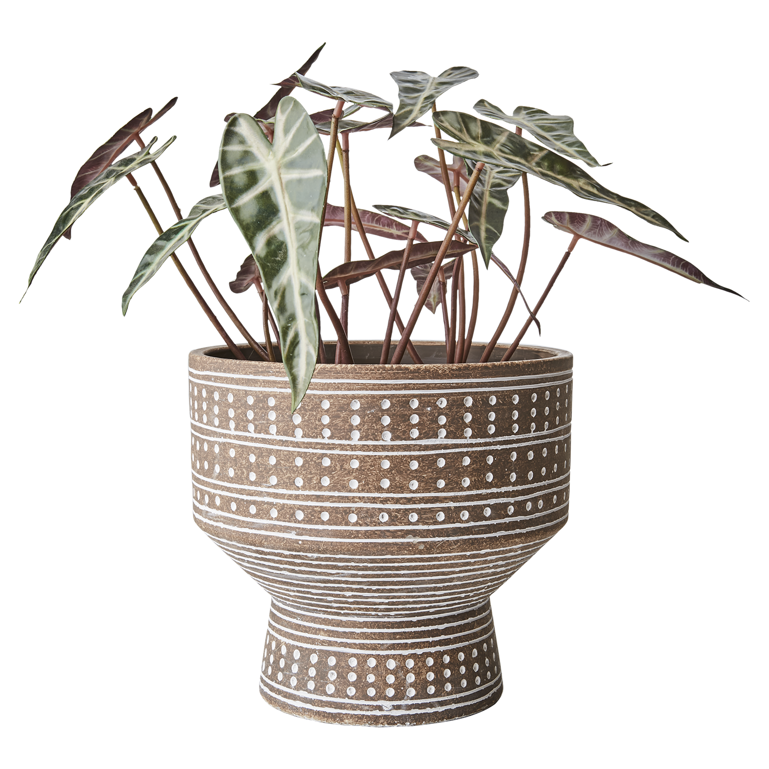 CAMILLE Kruka M, Beige 2st