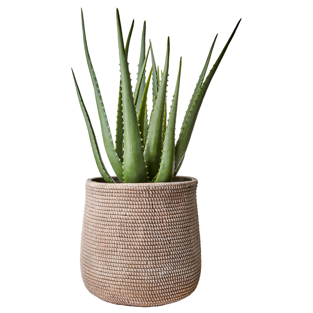 CAMILLE Kruka L, Beige 2st