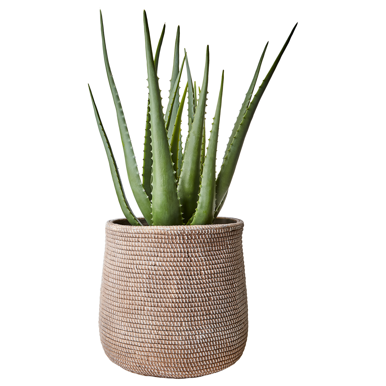 CAMILLE Kruka L, Beige 2st