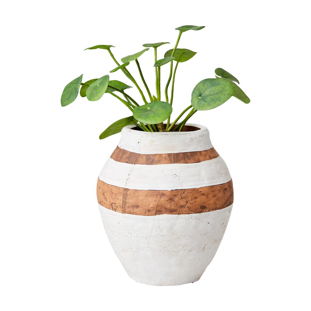 CAMILLE Kruka M, Vit/brun 2st