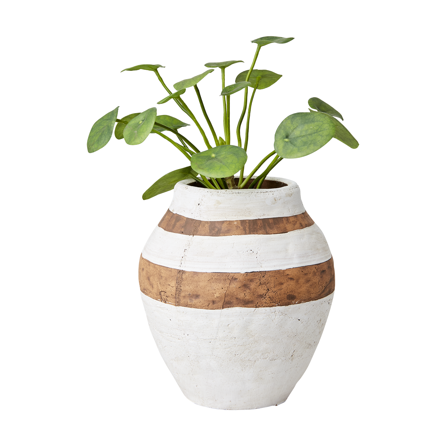 CAMILLE Kruka M, Vit/brun 2st