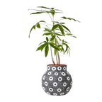 CAMILLE Kruka L, Svart/vit