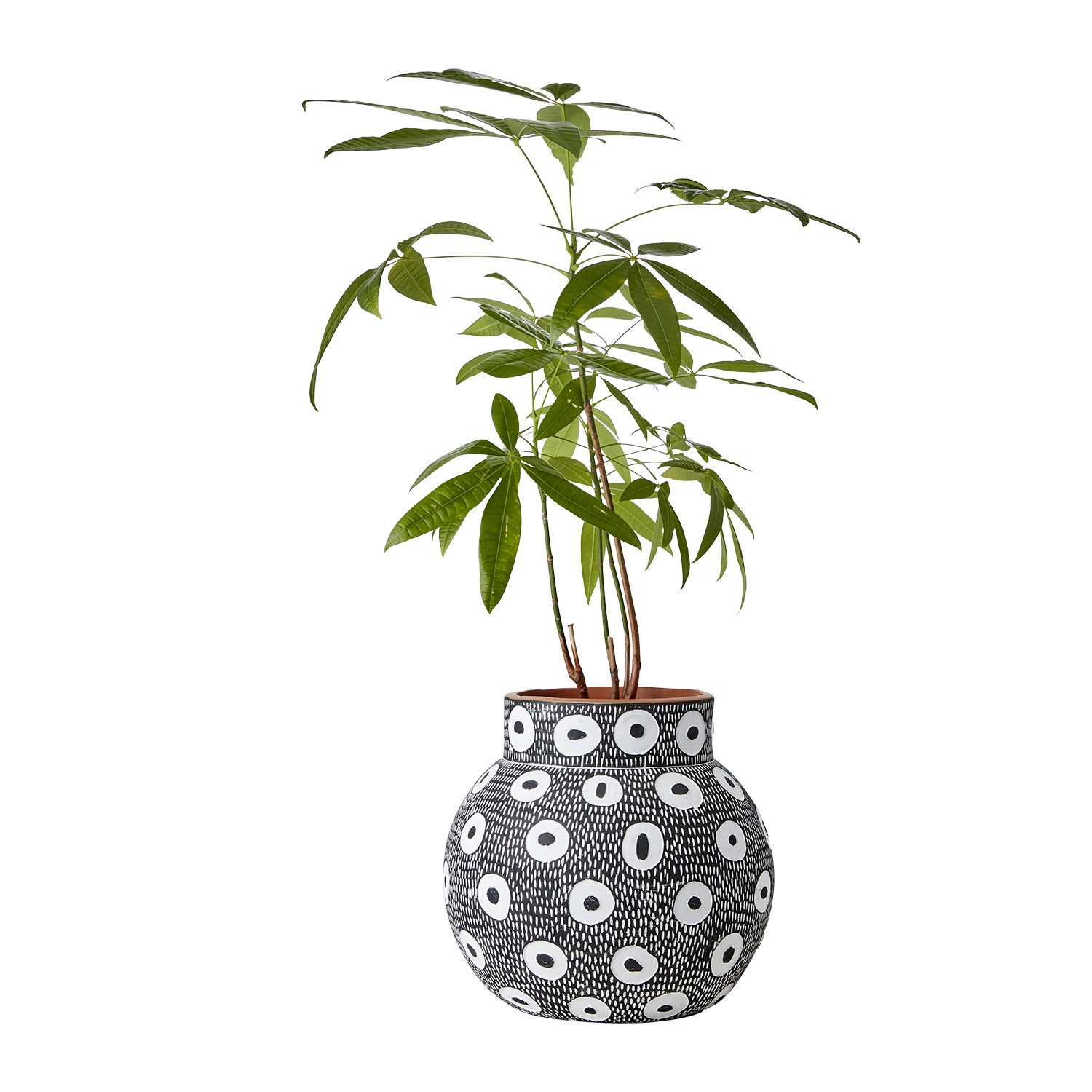 CAMILLE Kruka L, Svart/vit