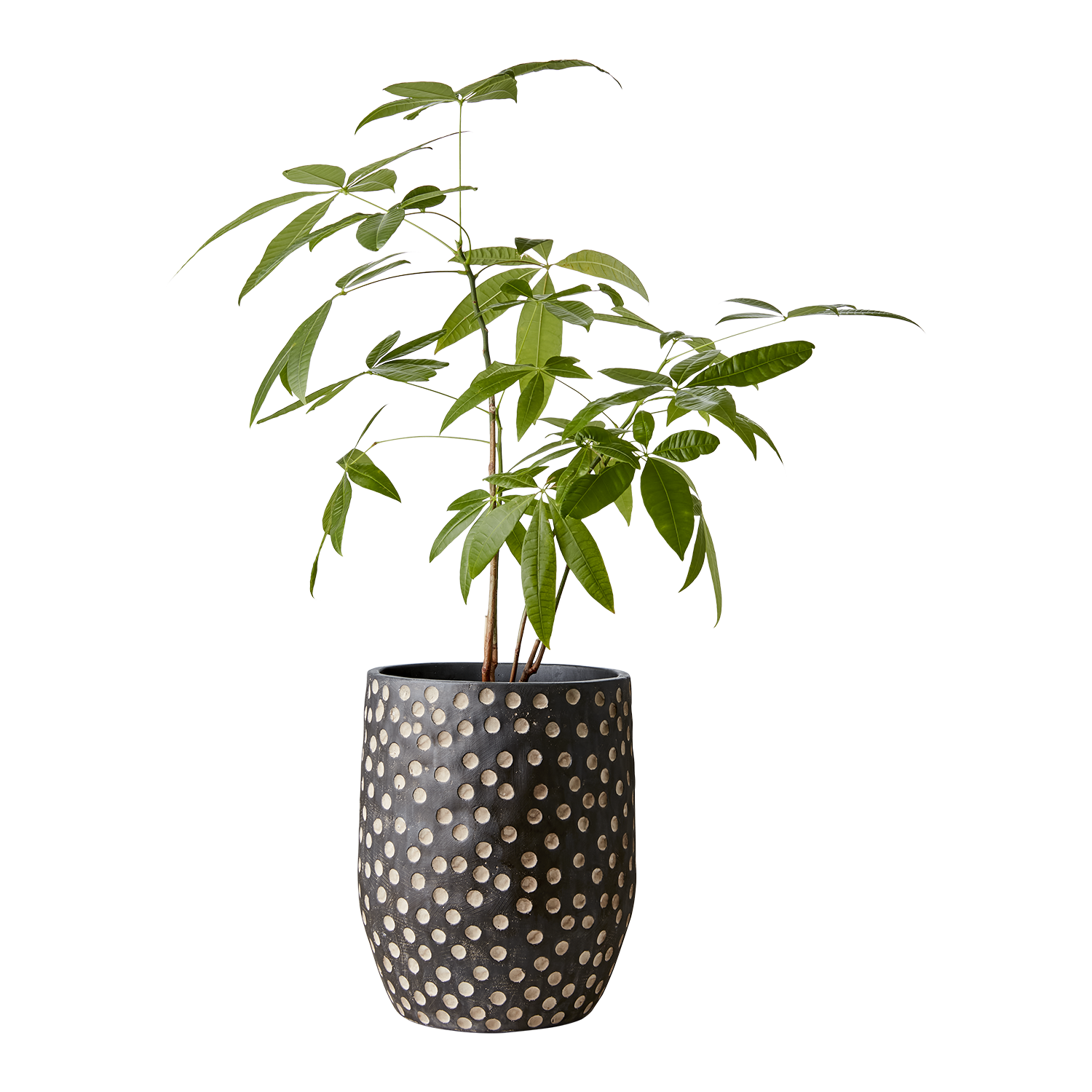 CAMILLE Kruka L, Svart/brun