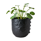 CAMILLE Kruka L, Svart 2st