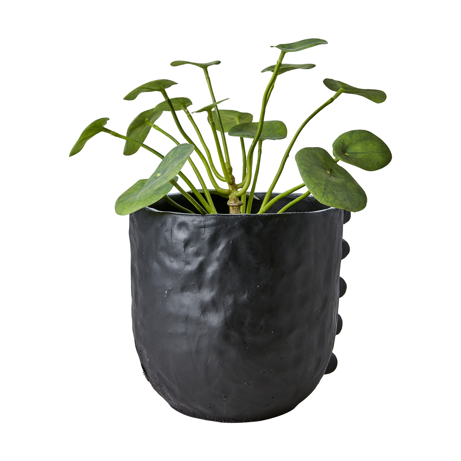 CAMILLE Kruka L, Svart 2st