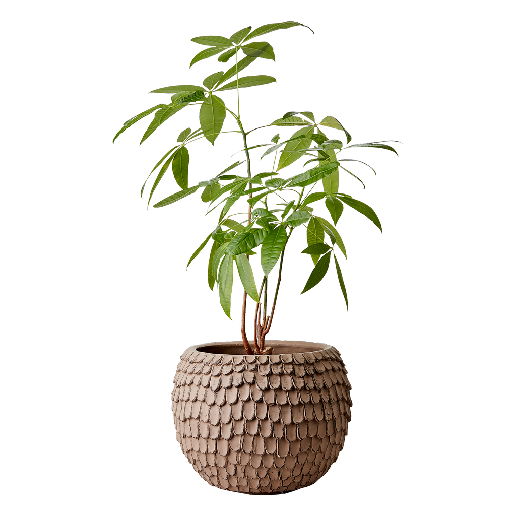 FUDGE Kruka XL, Nougatbrun