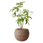 FUDGE Kruka XL, Nougatbrun