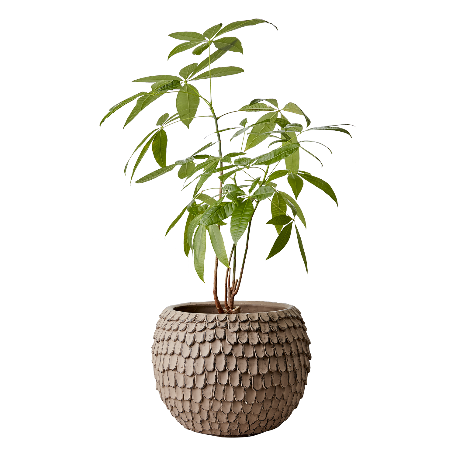 FUDGE Kruka XL, Nougatbrun