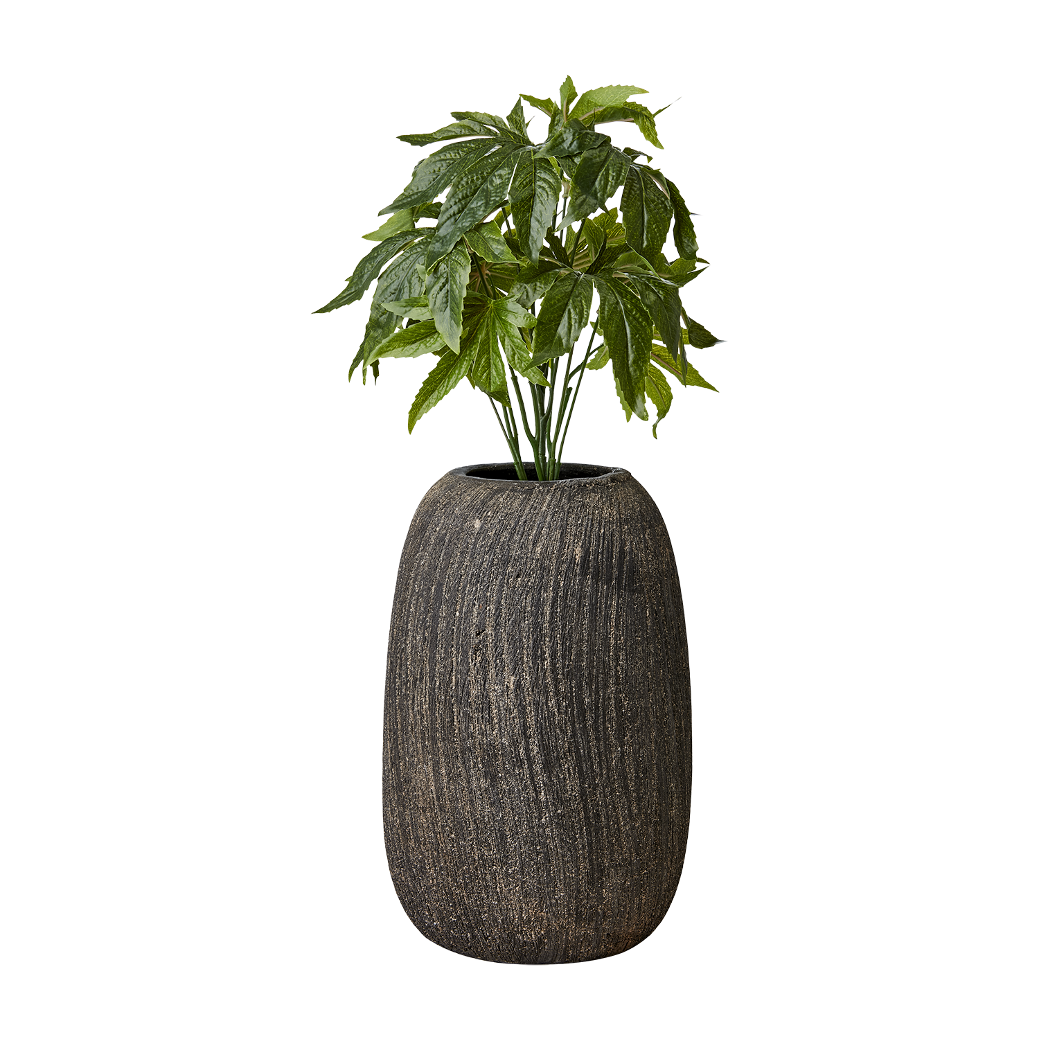 CINO Kruka, Brun 2st