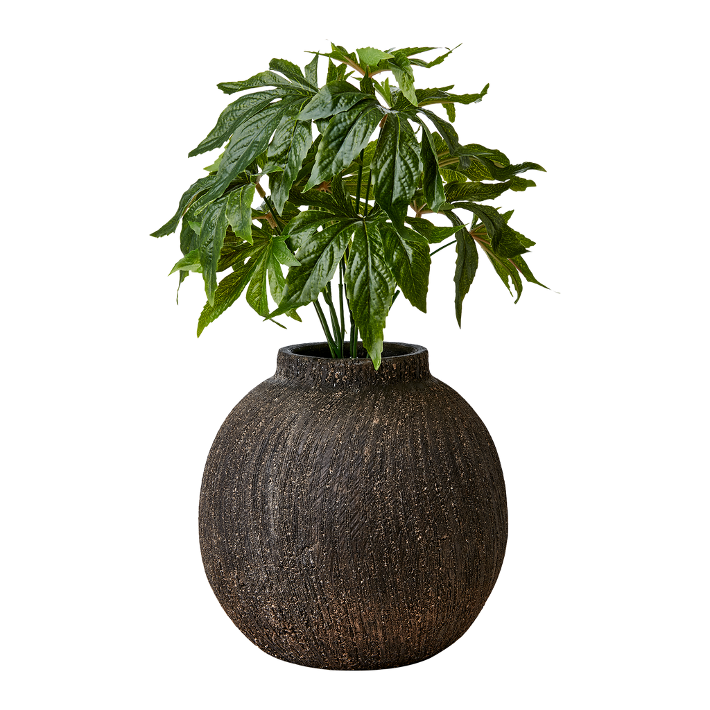 CINO Kruka, Brun 2st