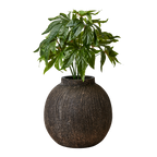 CINO Kruka, Brun 2st