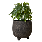 CINO Kruka XL, Brun 2st