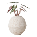 CREAM Kruka, Elfenben