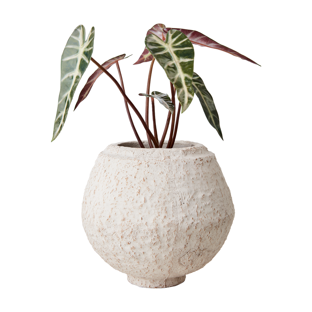 CREAM Kruka M, Elfenben 2st