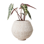 CREAM Kruka M, Elfenben 2st