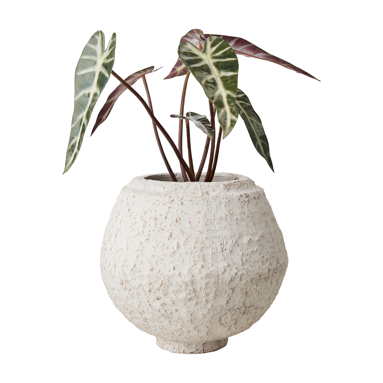 CREAM Kruka M, Elfenben 2st