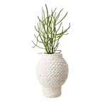 CREAM Kruka M, Elfenben