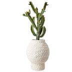 CREAM Kruka L, Elfenben