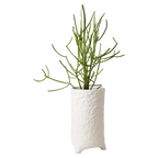 CREAM Kruka L, Elfenben 2st