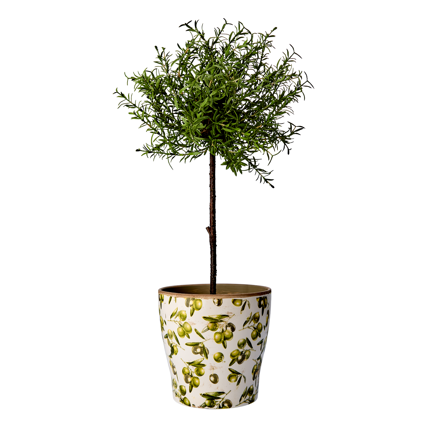 OLIVE Kruka, Vit/grön 2st