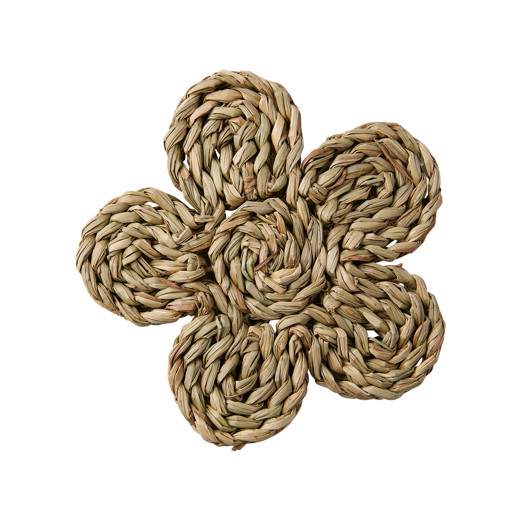 COLLECT Glasunderlägg, Natur 10st