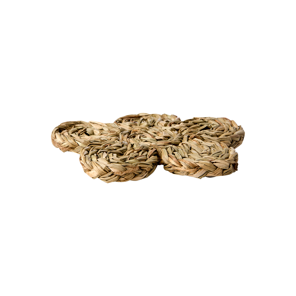 COLLECT Glasunderlägg, Natur 10st