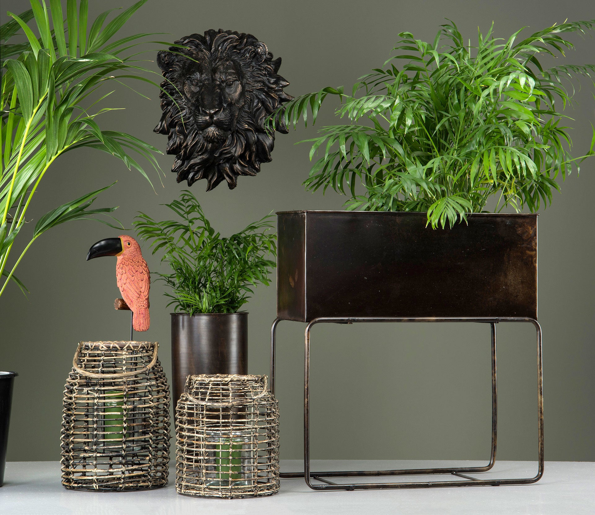 Lejonhuvud Brun/Guld Poly