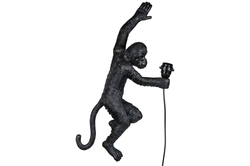 Vägglampa Apa Svart Poly