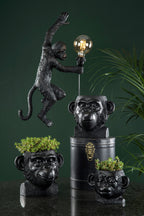 Vägglampa Apa Svart Poly