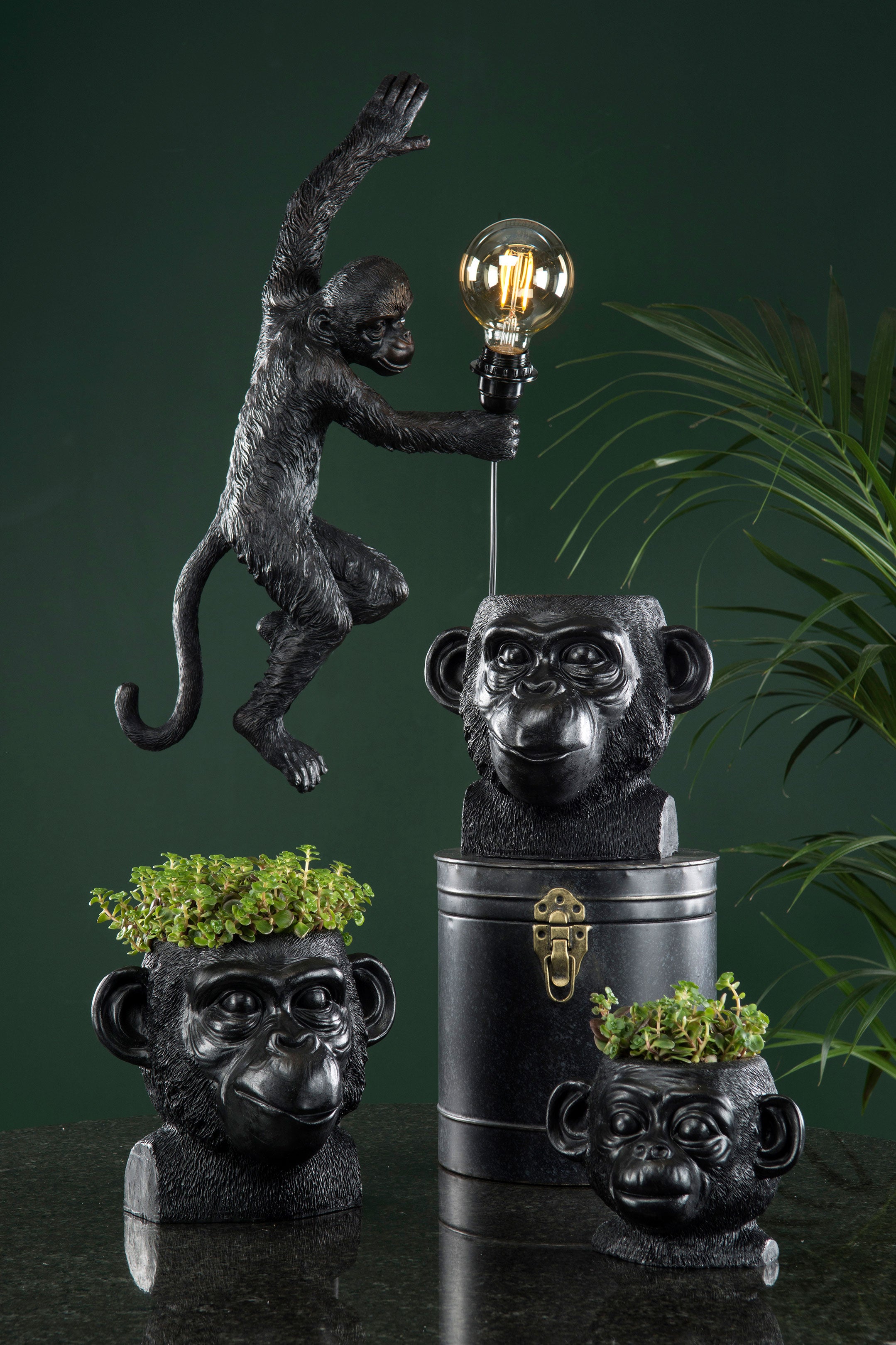 Vägglampa Apa Svart Poly