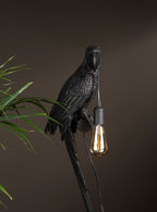 Vägglampa Papegoja Brun / Svart Poly