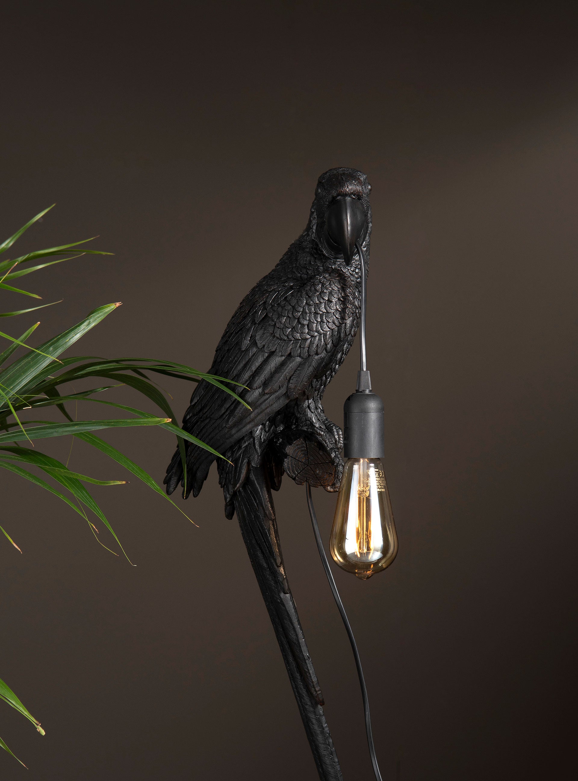 Vägglampa Papegoja Brun / Svart Poly