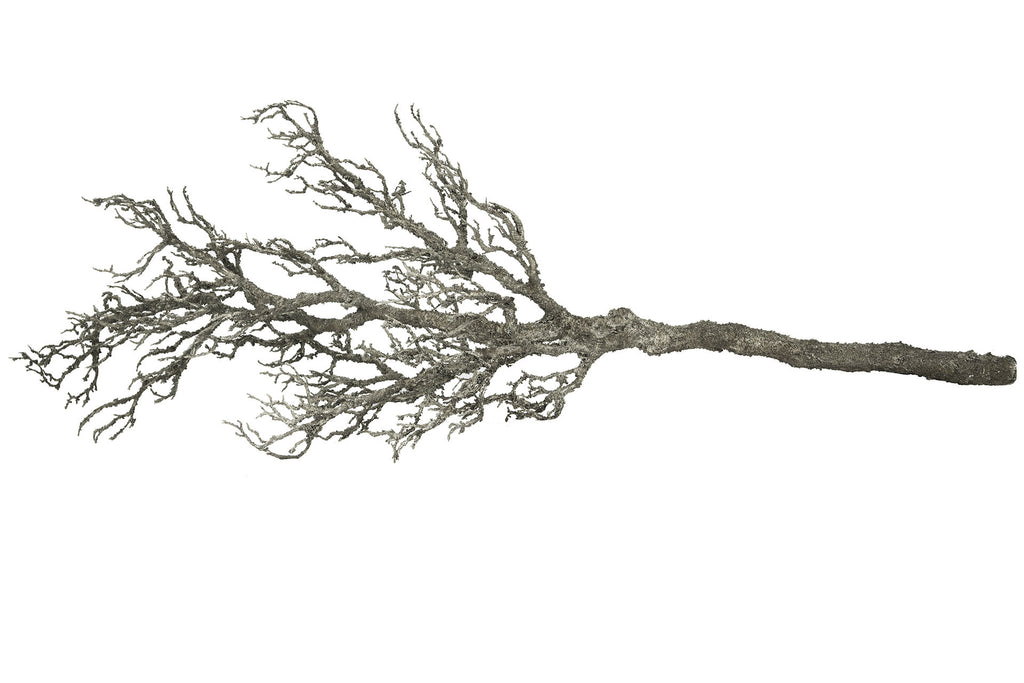 Trädgren Plast / Stål