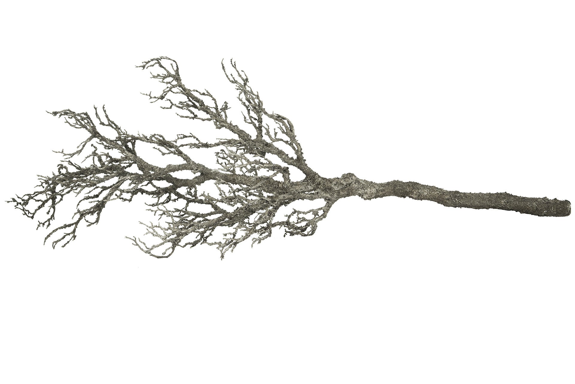 Trädgren Plast / Stål