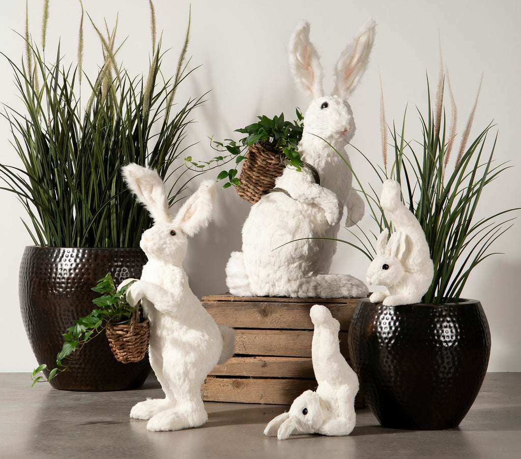 Dunborstgräs Konstväxt