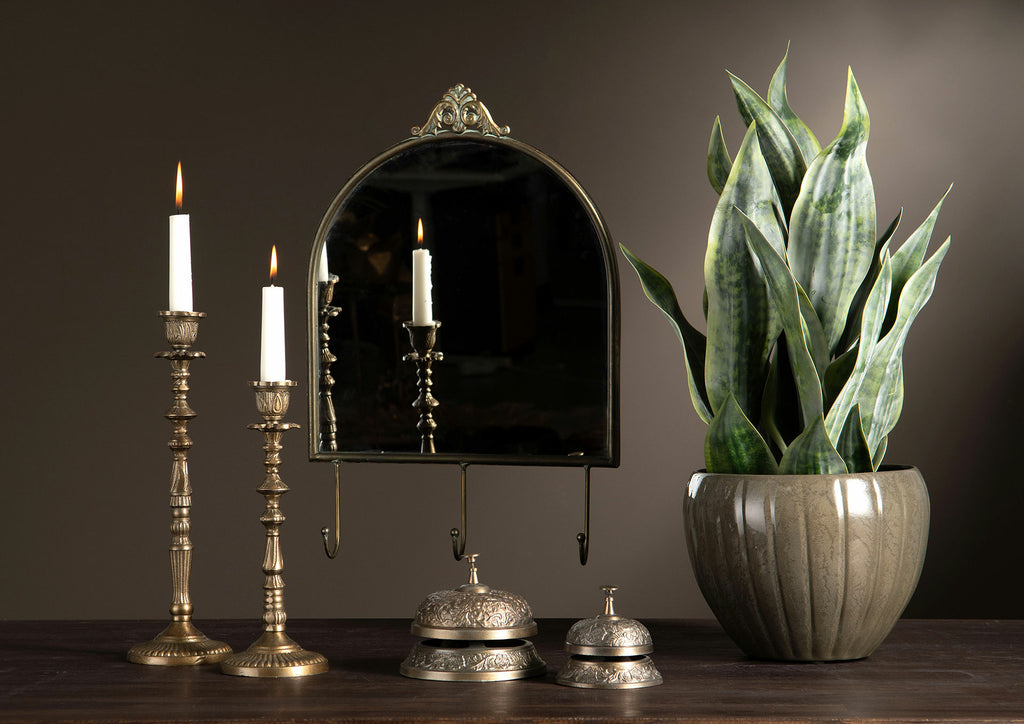 Sansevieria Konstväxt