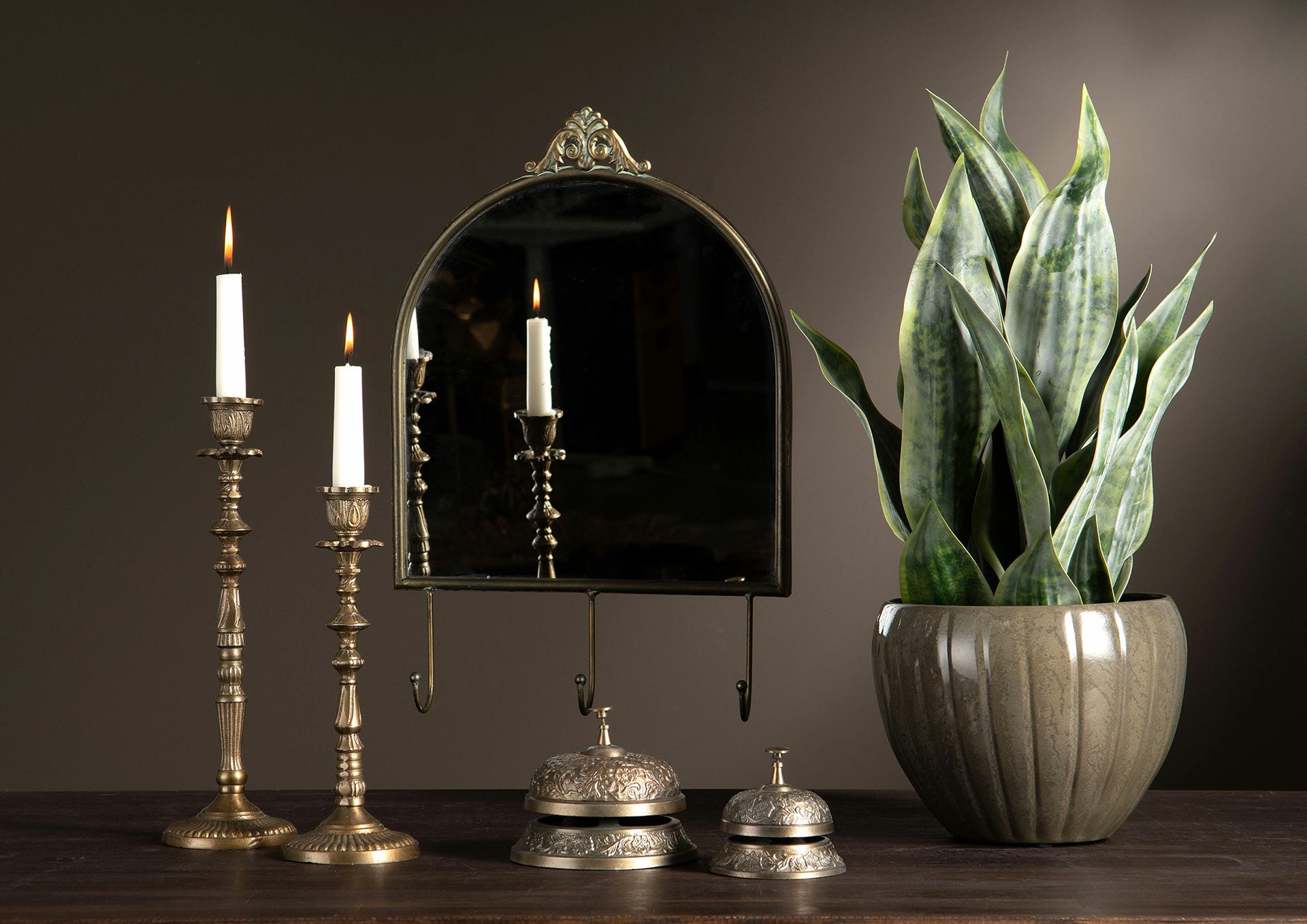 Sansevieria Konstväxt