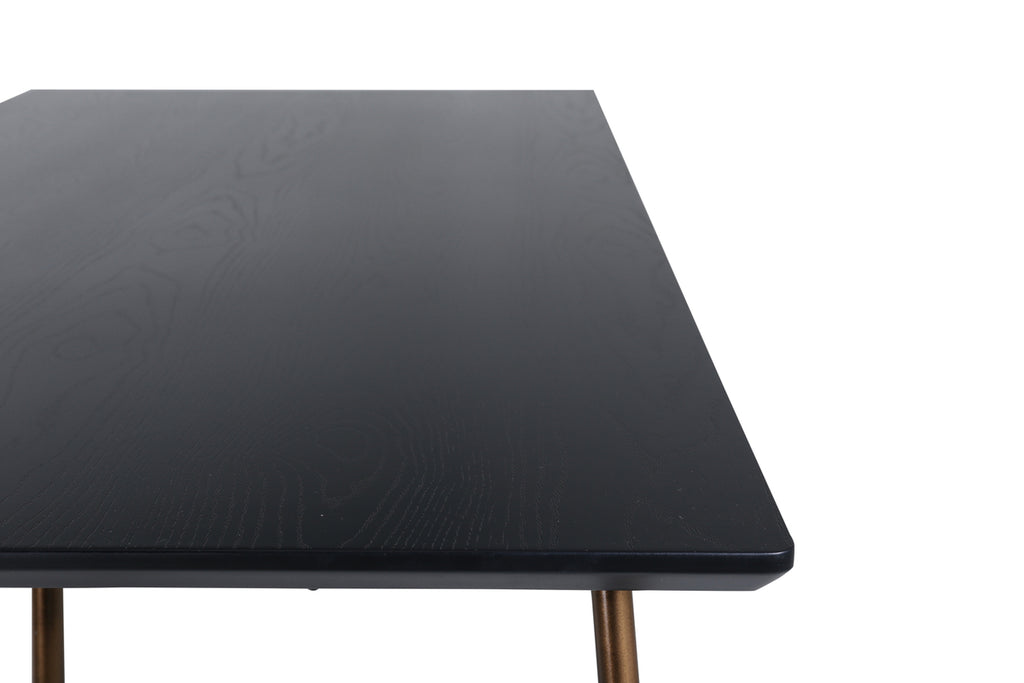 Petra Rektangulära Matbord 190 x 90 Svart