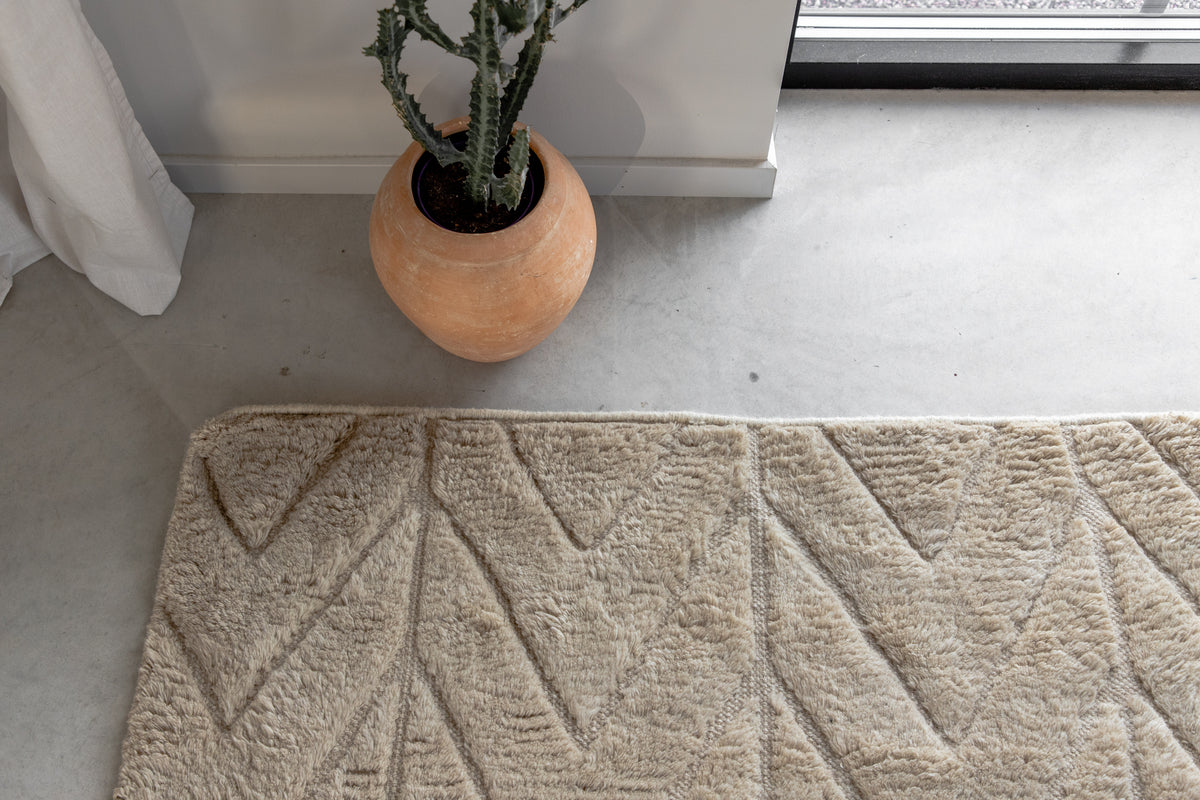 Zoe Rektangulära Mattor 300 x 200 Beige