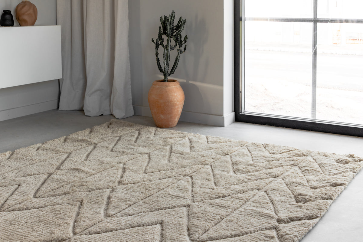 Zoe Rektangulära Mattor 300 x 200 Beige